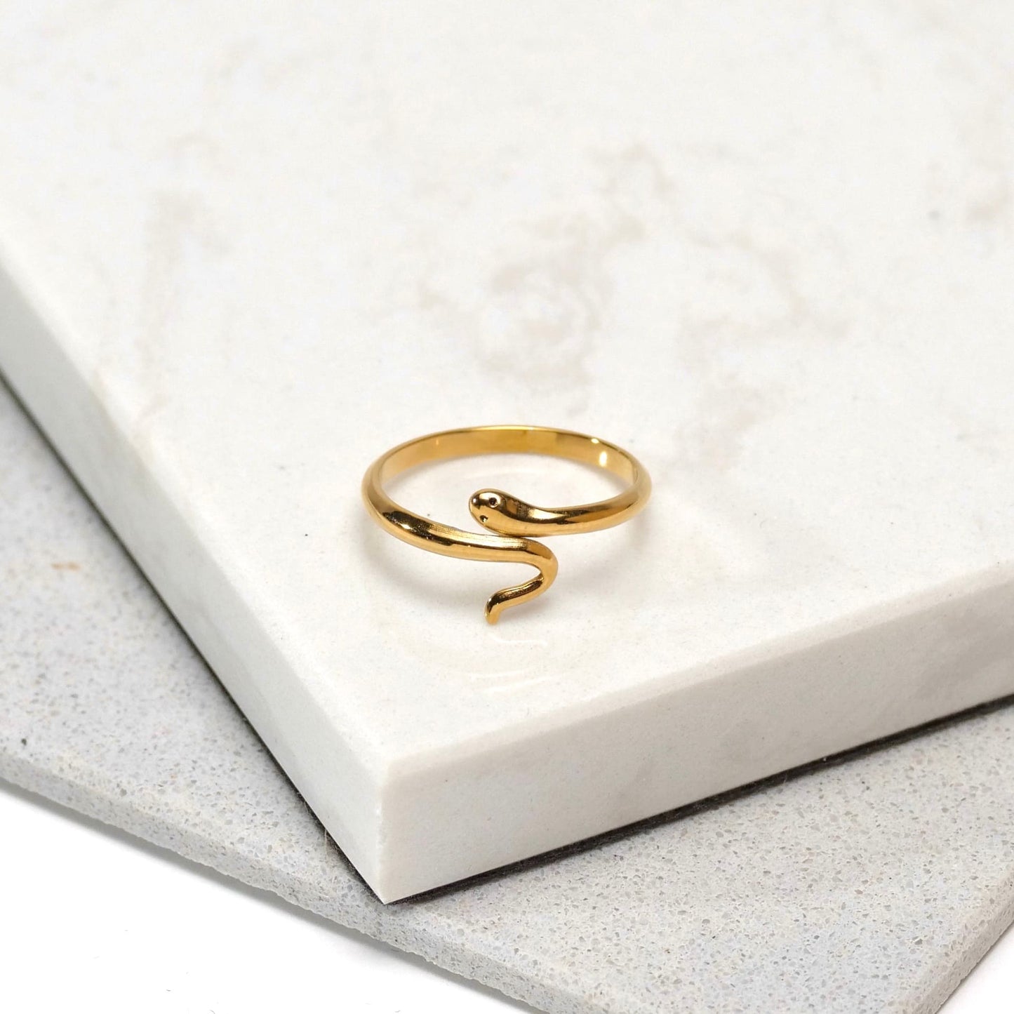 Anillo Minimal Snake