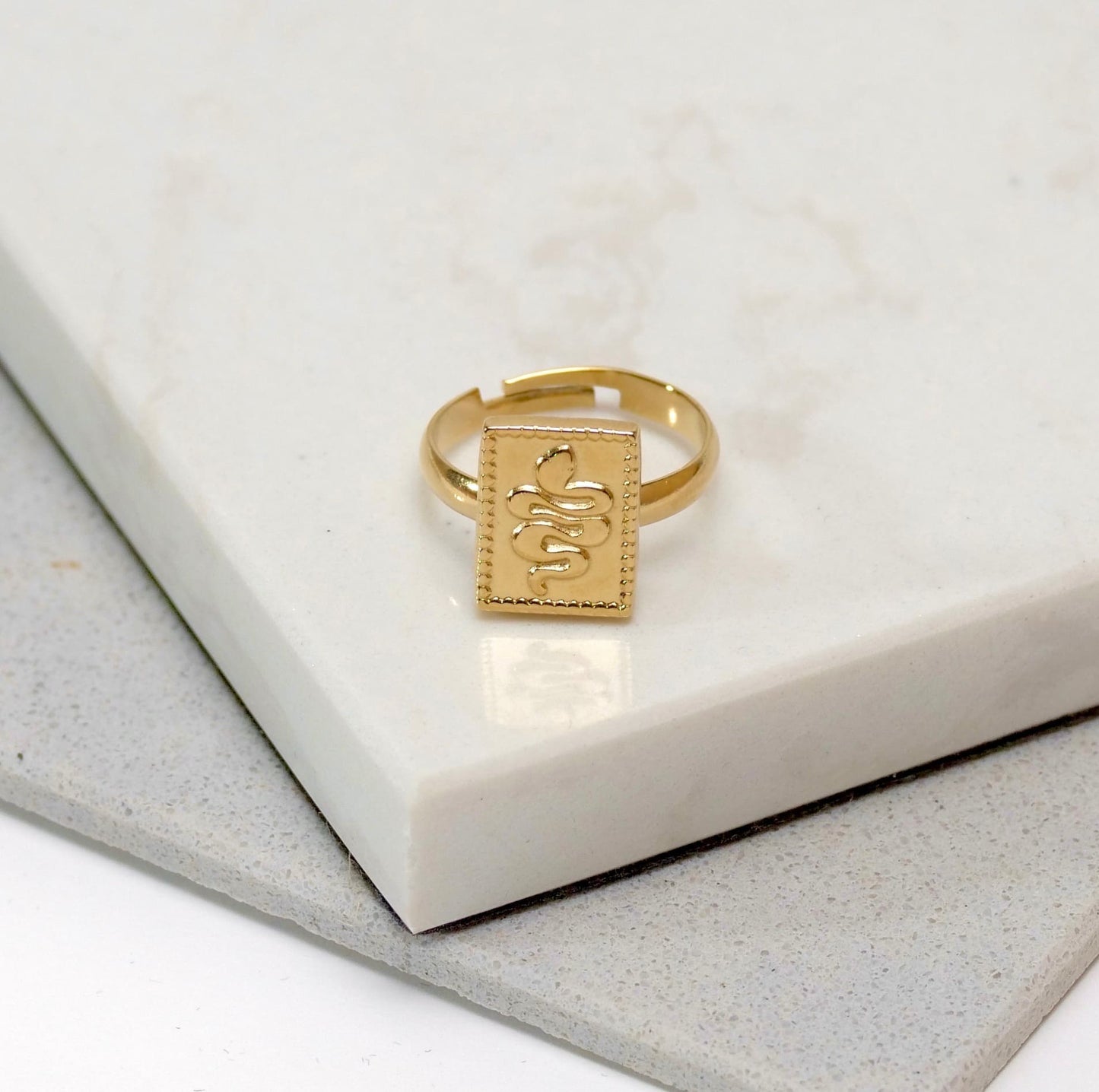 Anillo hivar