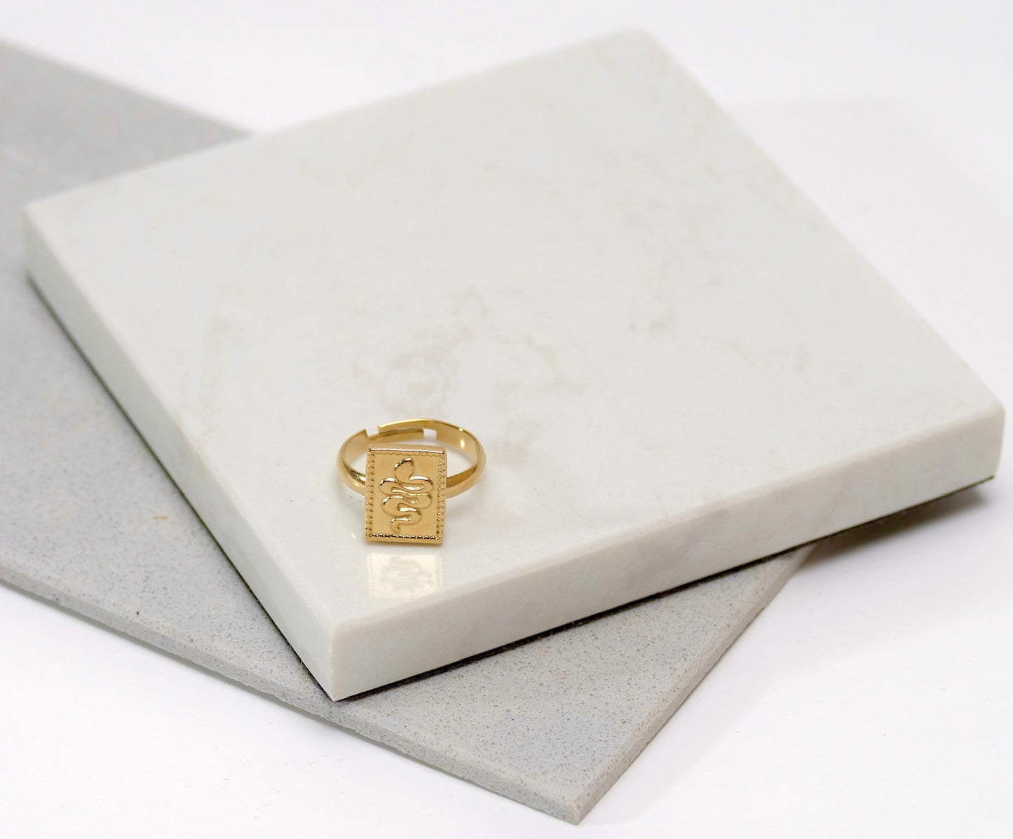 Anillo hivar