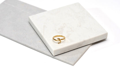 Anillo Minimal Snake