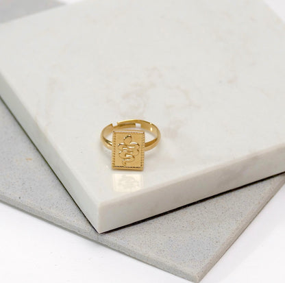 Anillo hivar