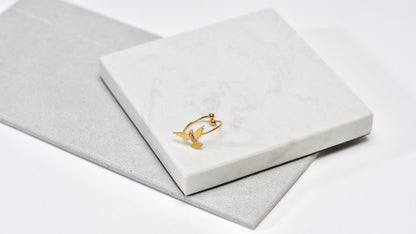 Anillo Palermo