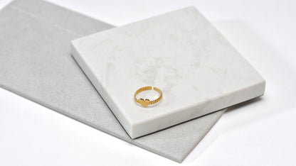 Anillo Bolonia