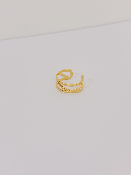 Anillo Minimal