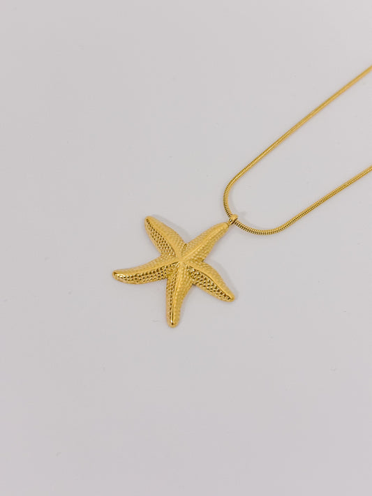 Collar Mar
