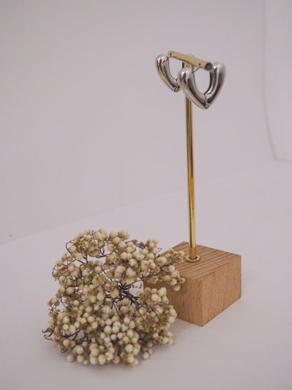 Pendientes Paal