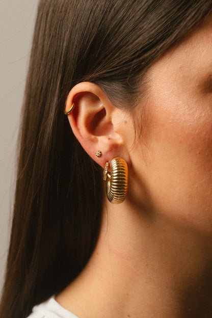 Pendientes Oruga big
